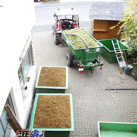 Ostermann Gæstehus 3*